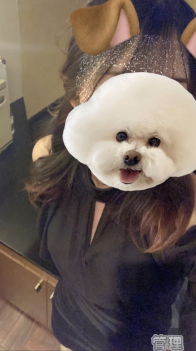 さくら