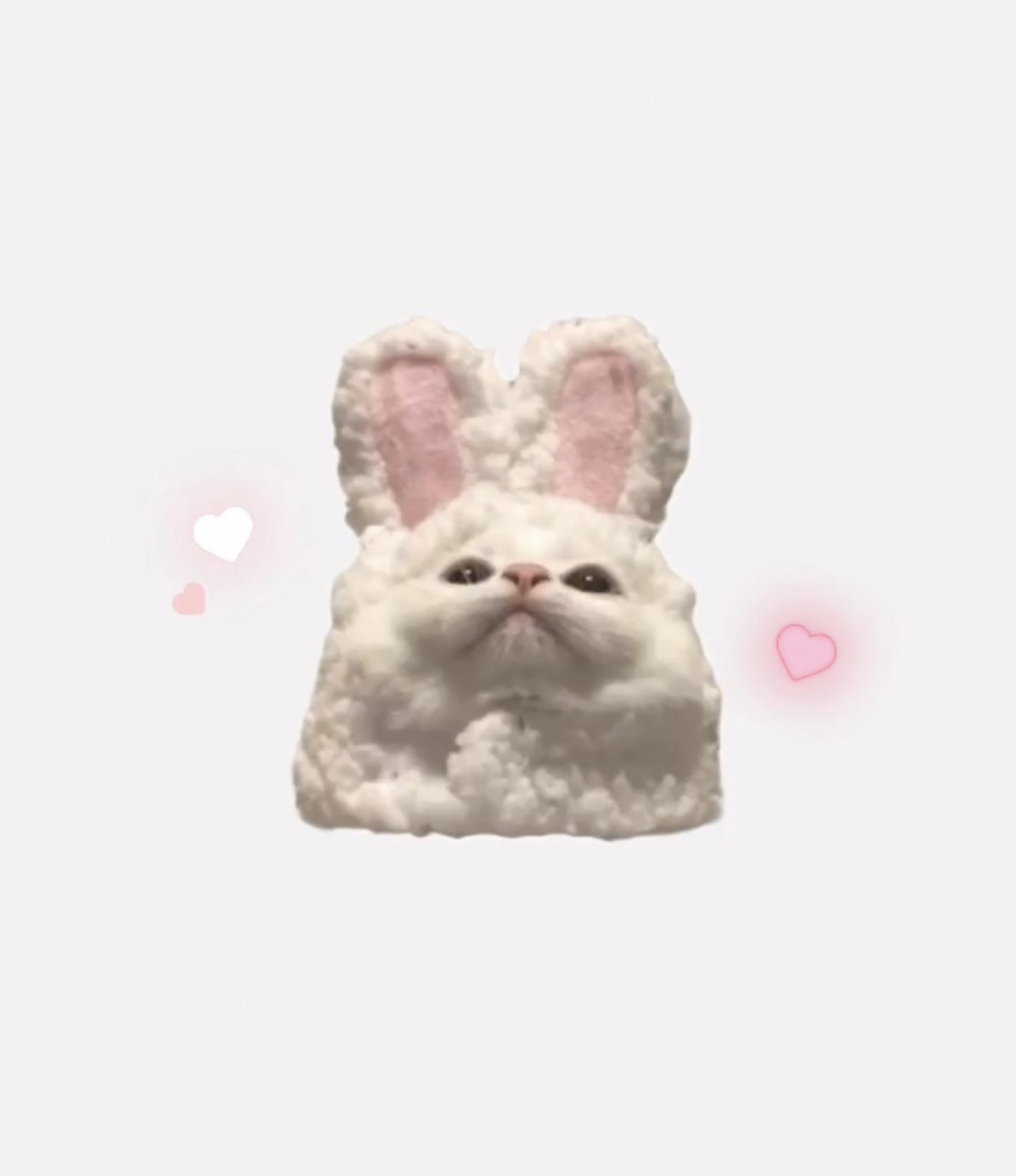 一条 葵