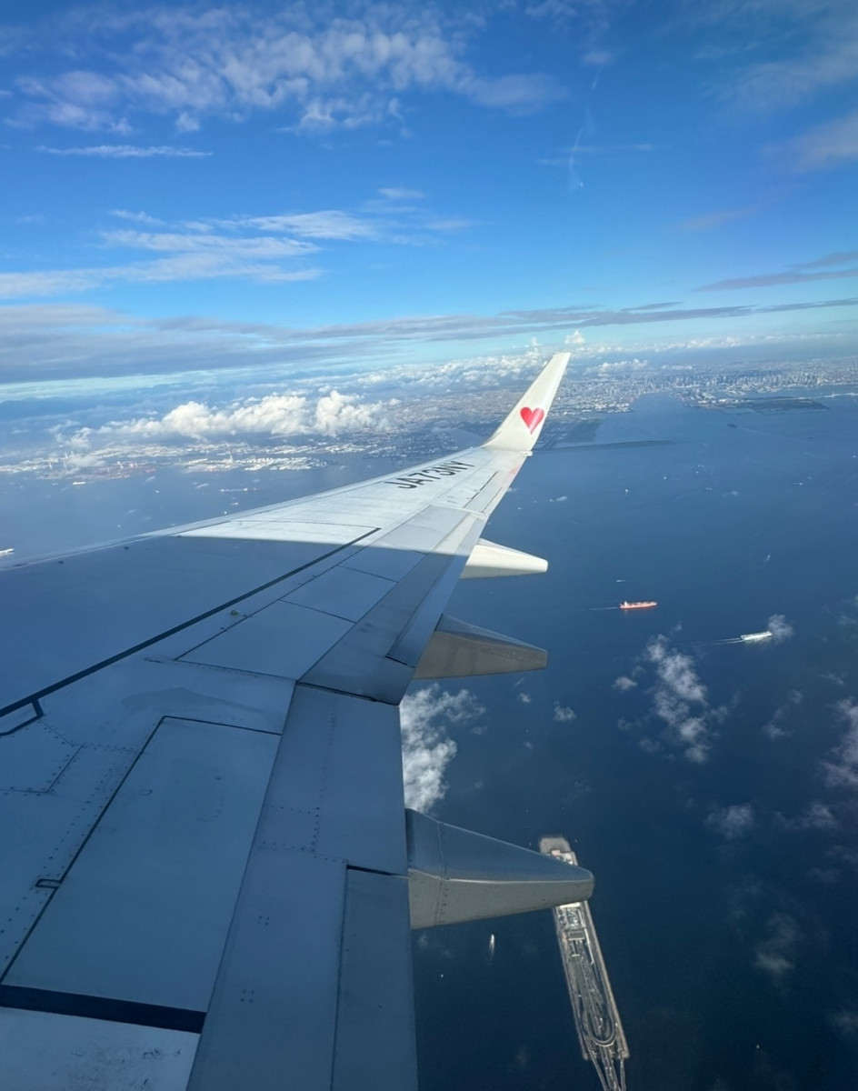 一条 葵