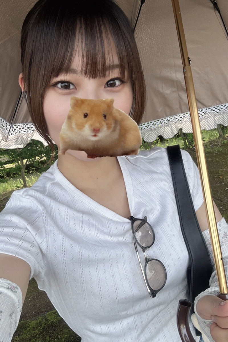 一条 葵