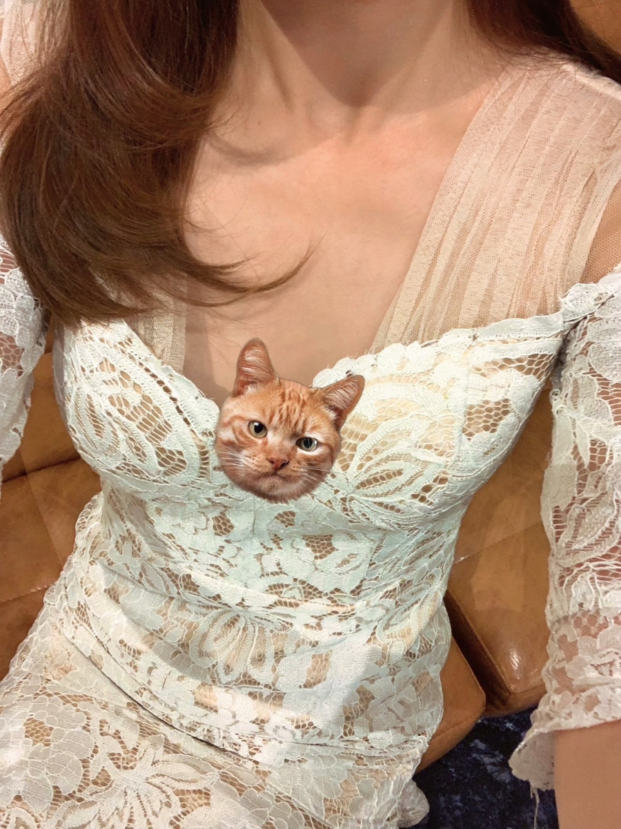 まい