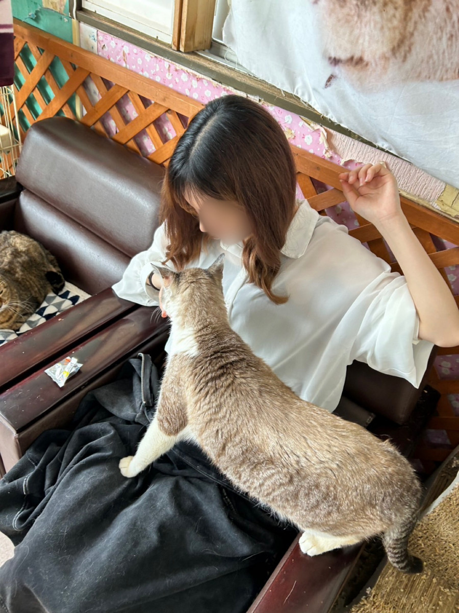 clubTiara日記1572657