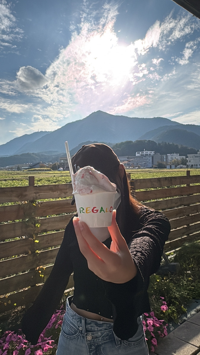 一条 葵