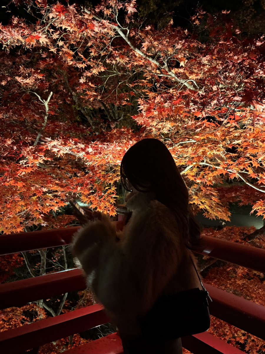 一条 葵