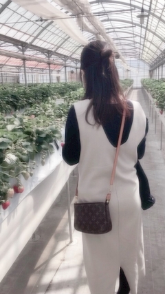 一条 葵