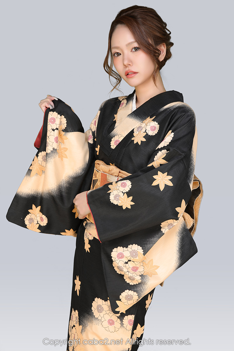 一条 葵