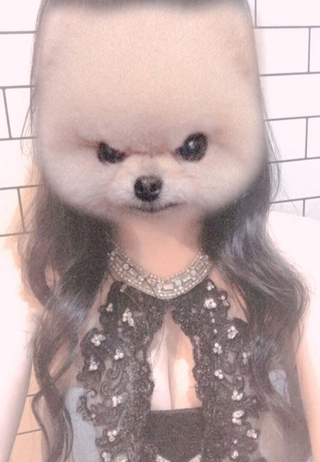 一条 葵