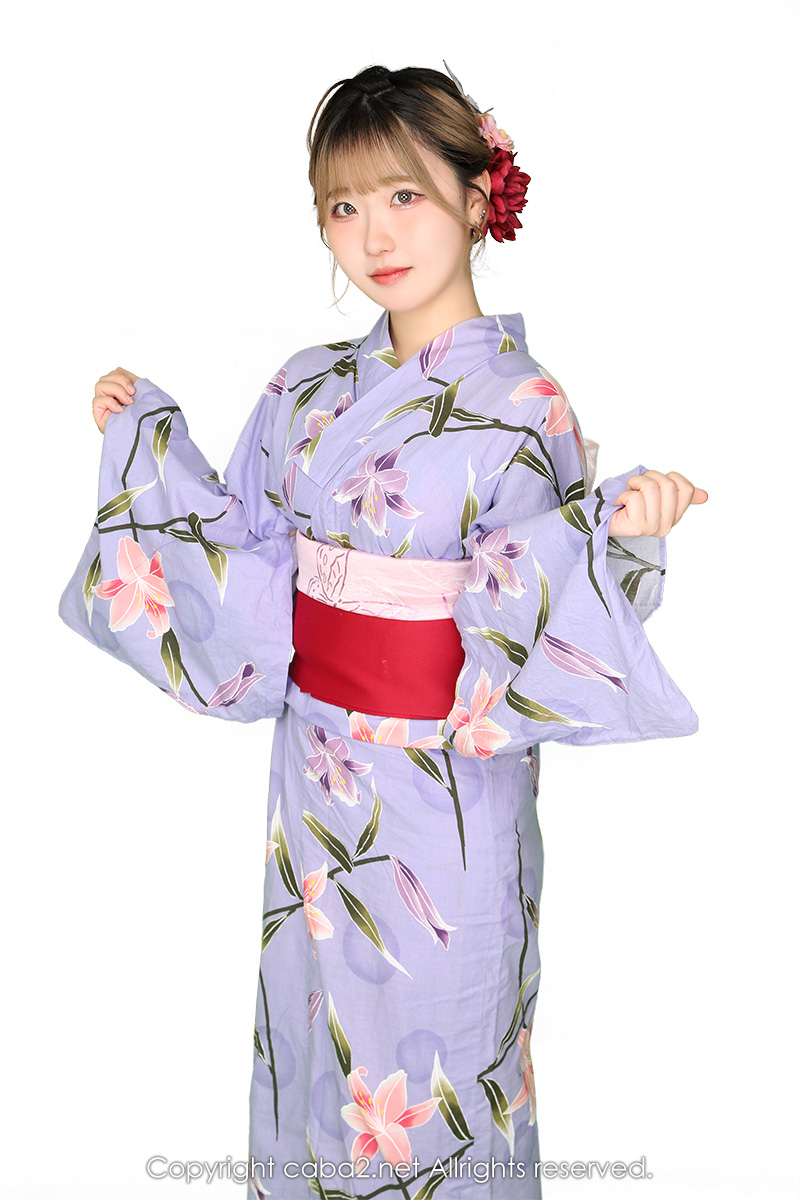 一条 葵