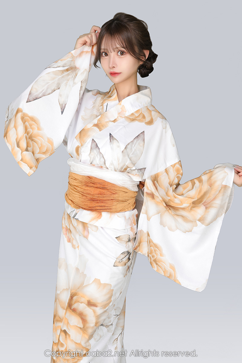 一条 葵