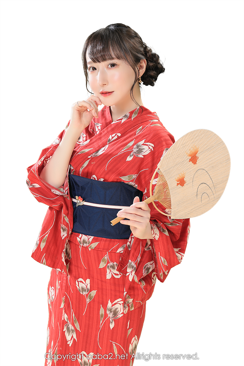 一条 葵