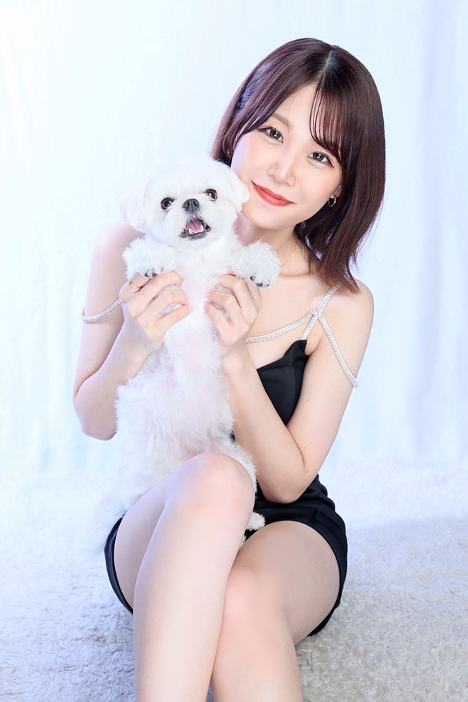 一条 葵