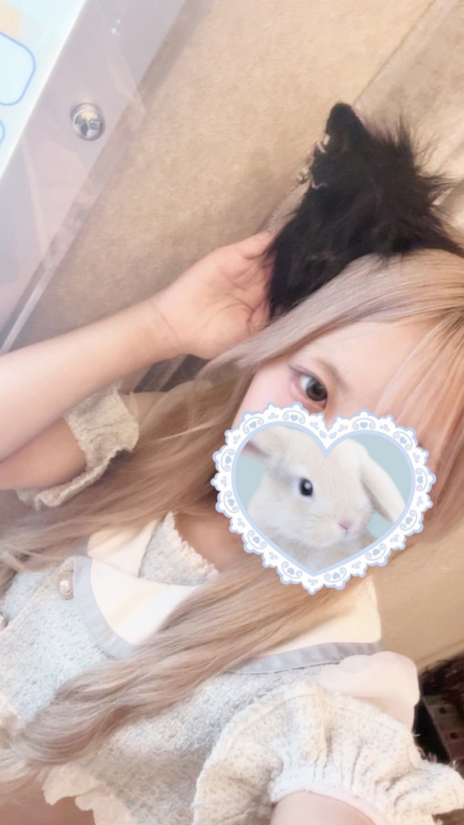 一条 葵