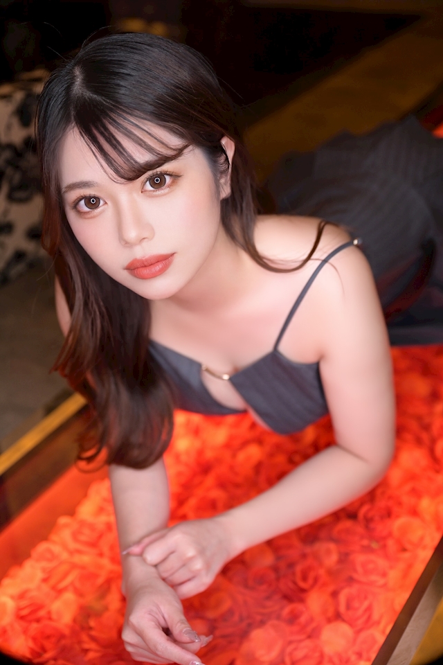 一条 葵