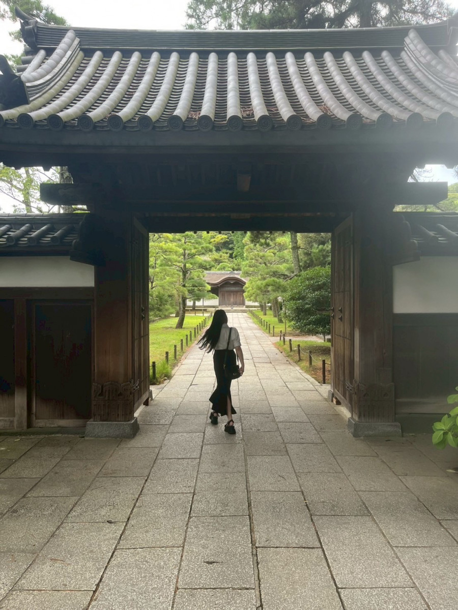 一条 葵