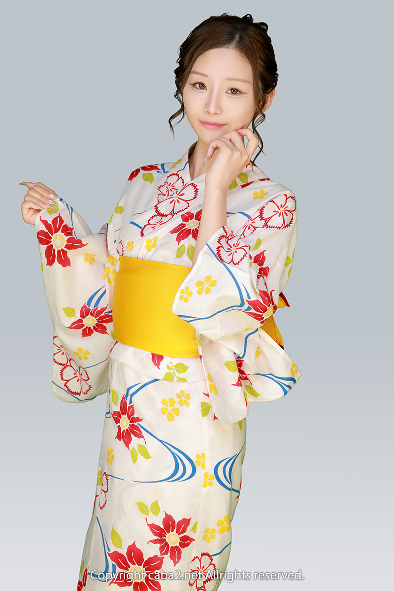 一条 葵