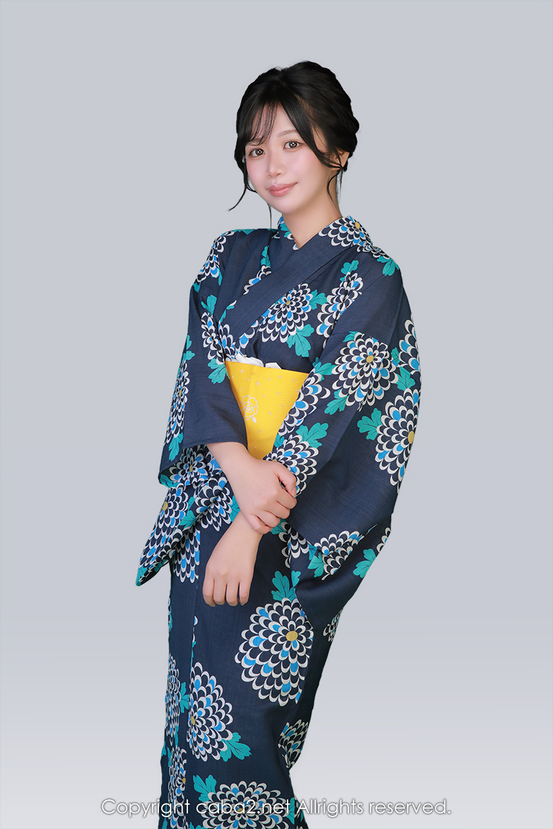 一条 葵