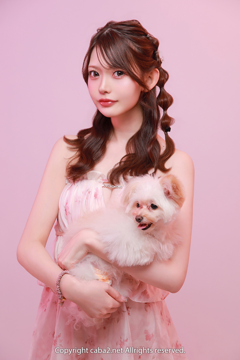 一条 葵