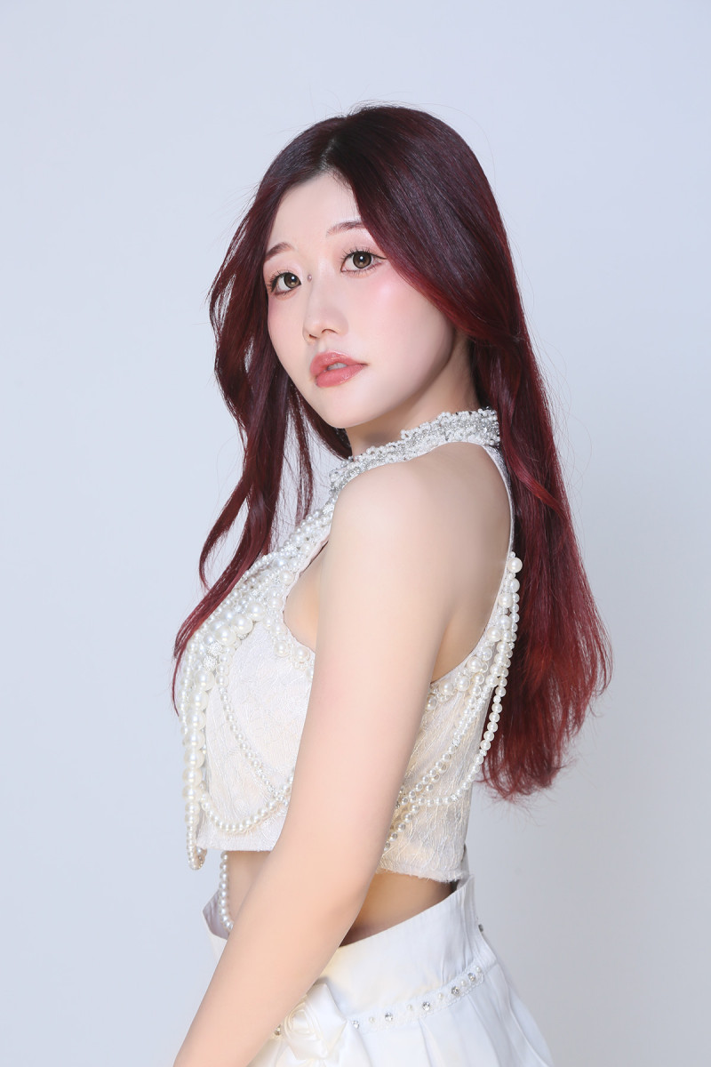 一条 葵