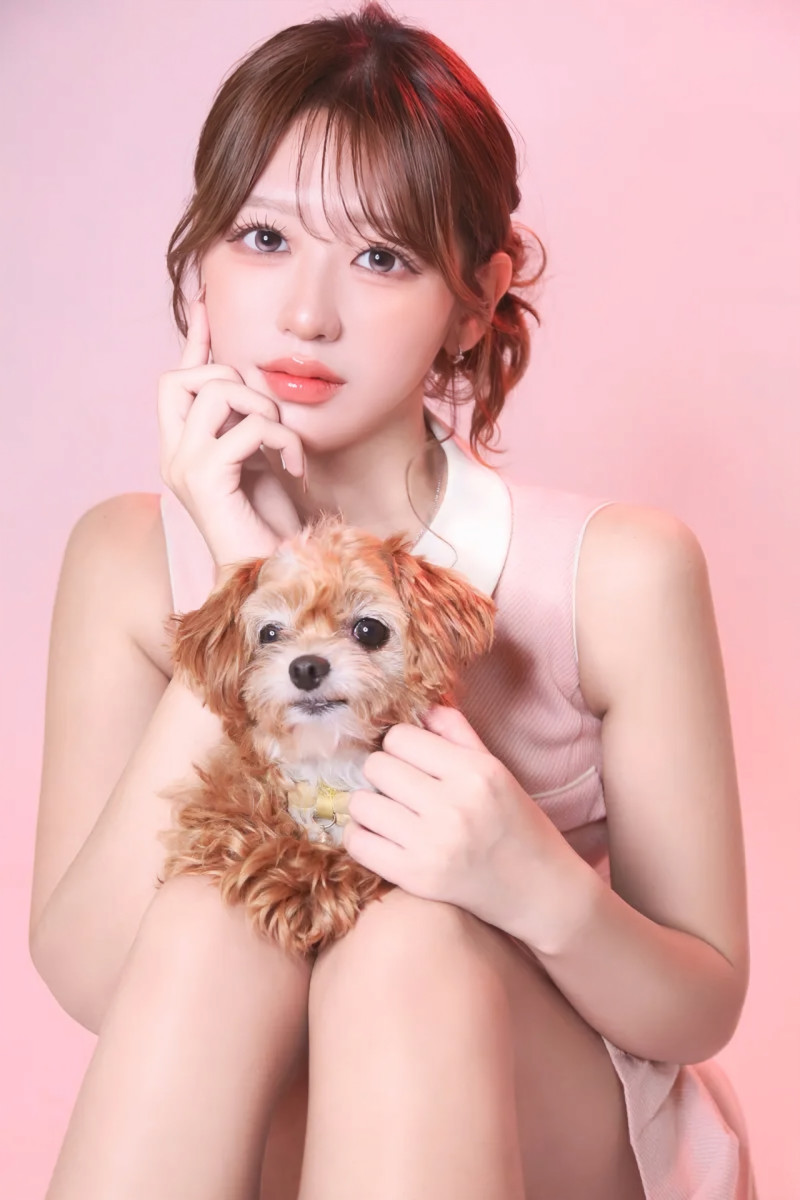 一条 葵