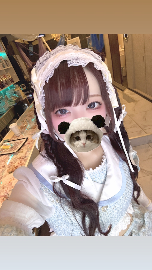 一条 葵