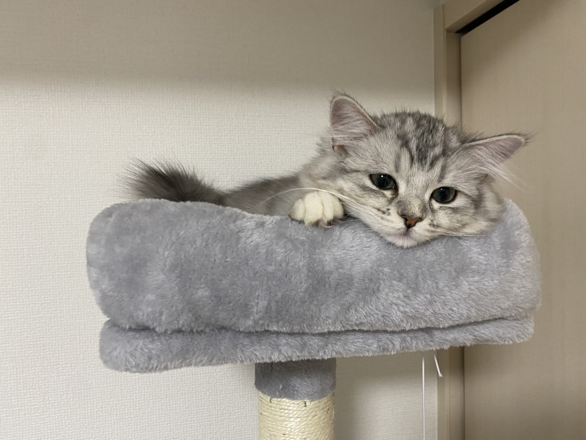 WMWM-のん画像52666