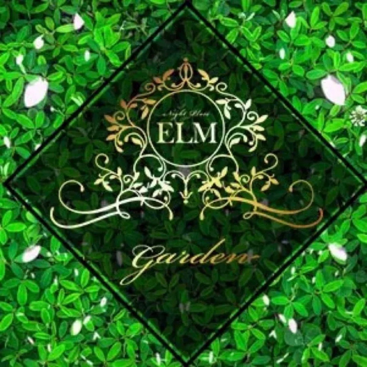 ELM Garden-いろは画像93535