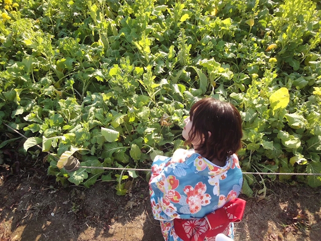 はちみつくろーばー日記1784288