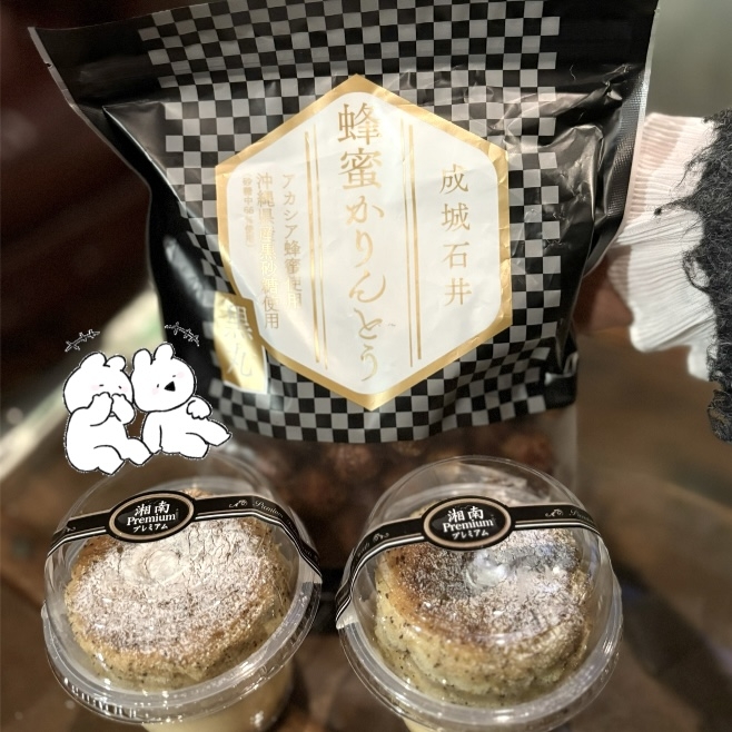 Veronica-ヴェロニカ-日記1594158