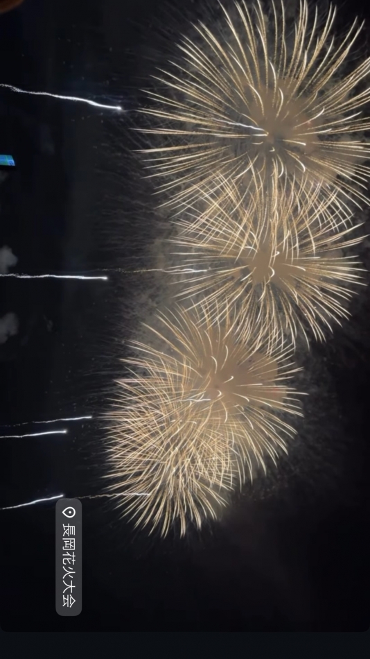 来年こそは、、🎇