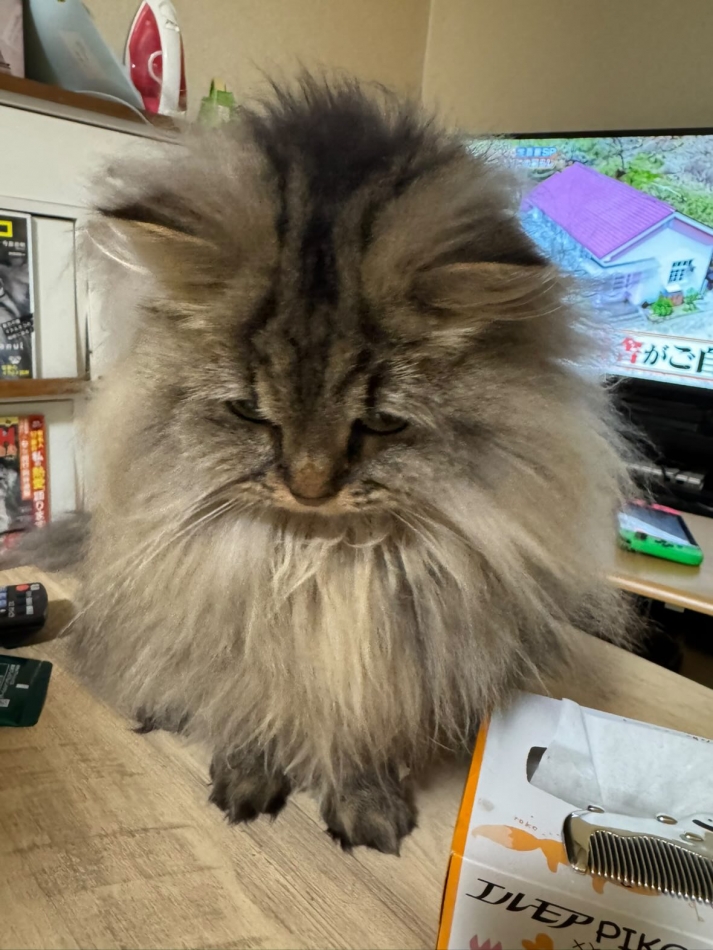 CLUB K　～Prologue～日記1570732