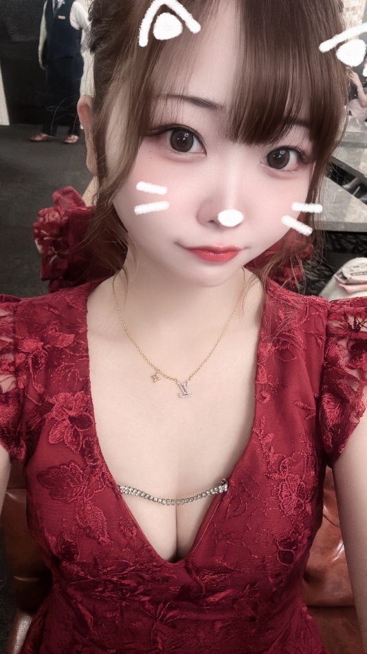 ぴゃー！😼😼😼😼