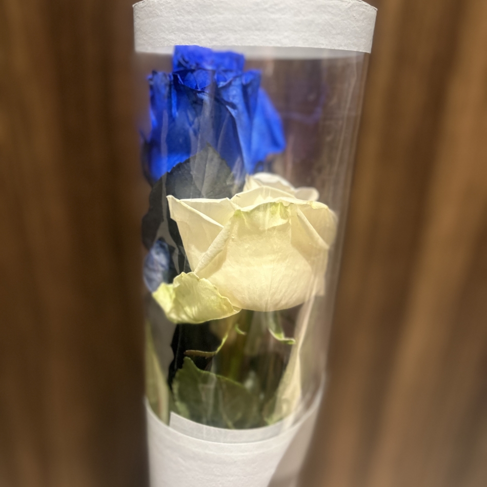 クラブ プラチナ 諏訪日記1556783