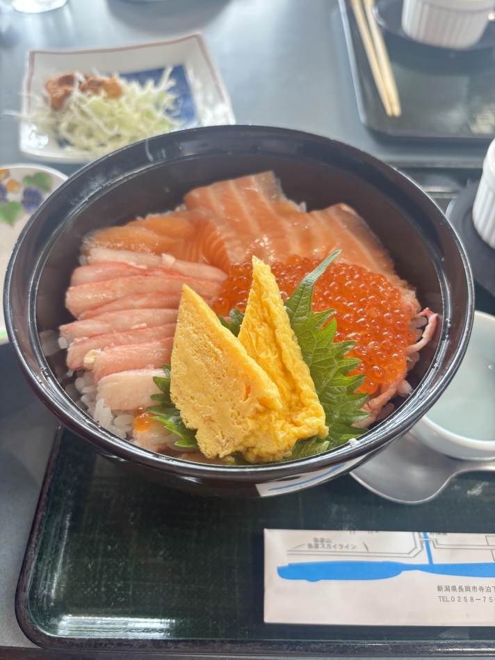 一条 葵