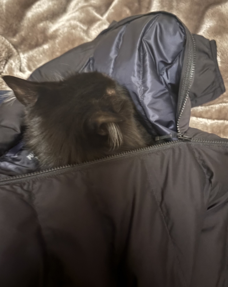 CLUB WONDER日記1568163