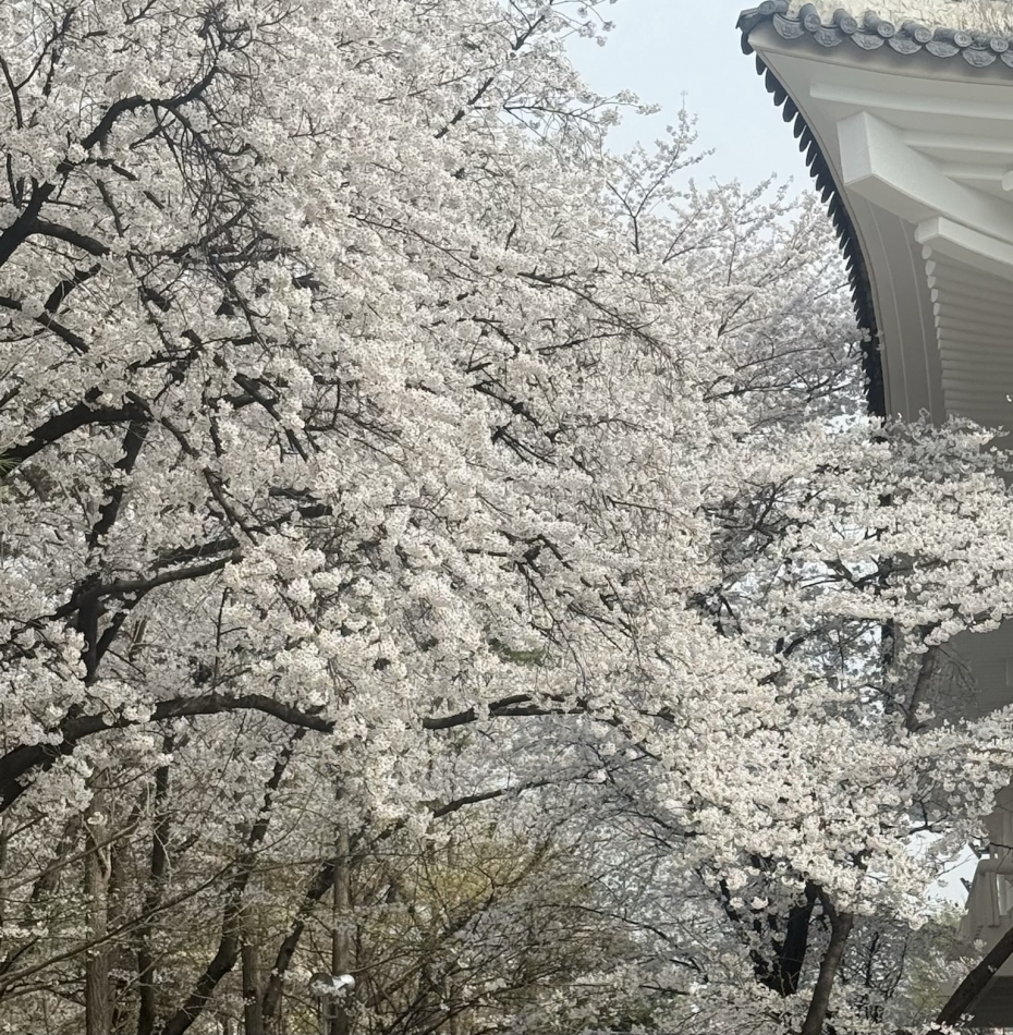 CHUNーLUU日記1647350