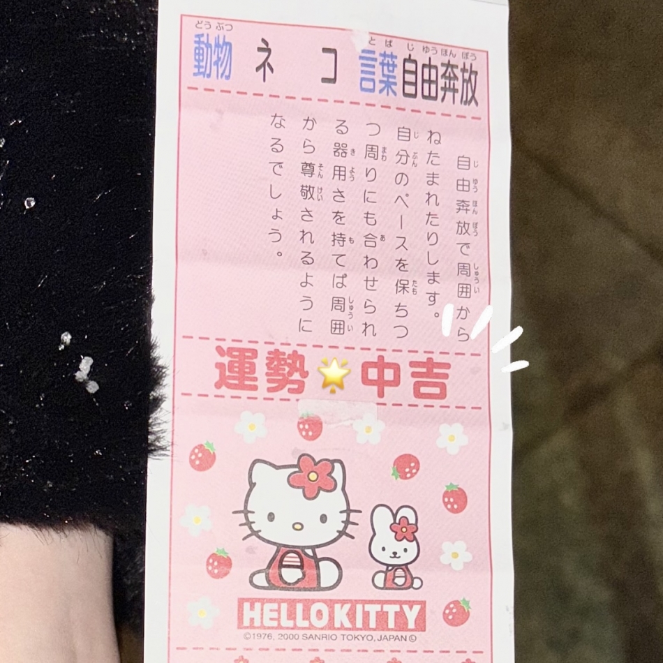 Veronica-ヴェロニカ-日記1561653