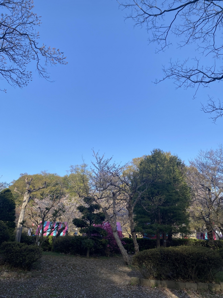 K-Lounge日記1641445