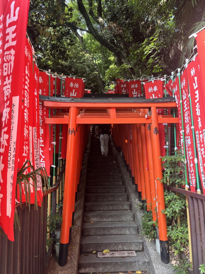 一条 葵