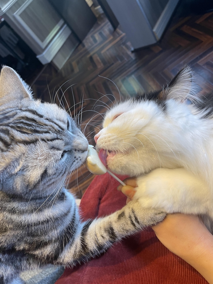 クラブ プラチナ 諏訪日記1530848