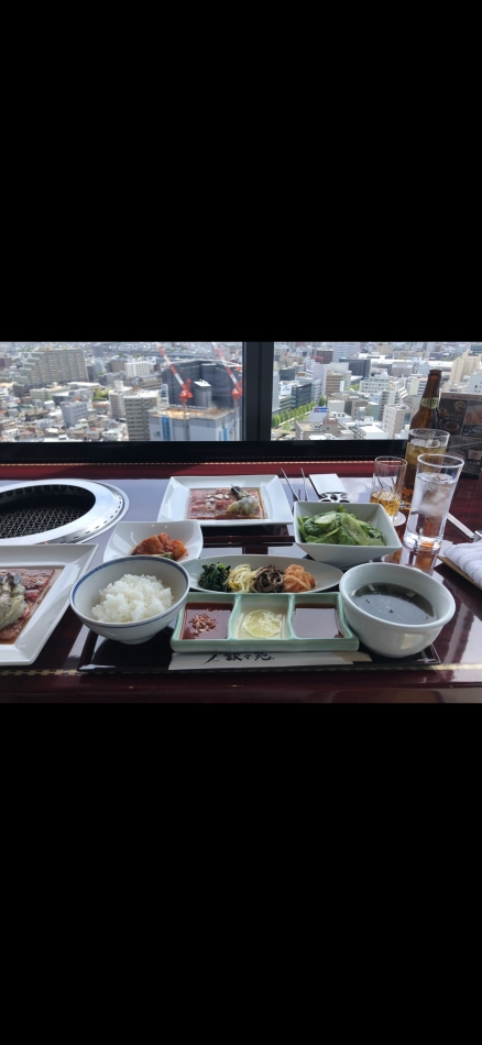 一条 葵