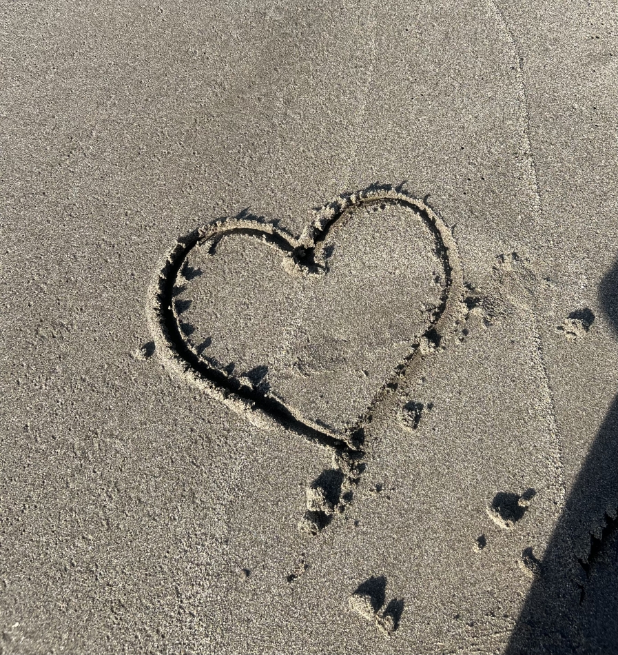 V-niigata-日記1451990