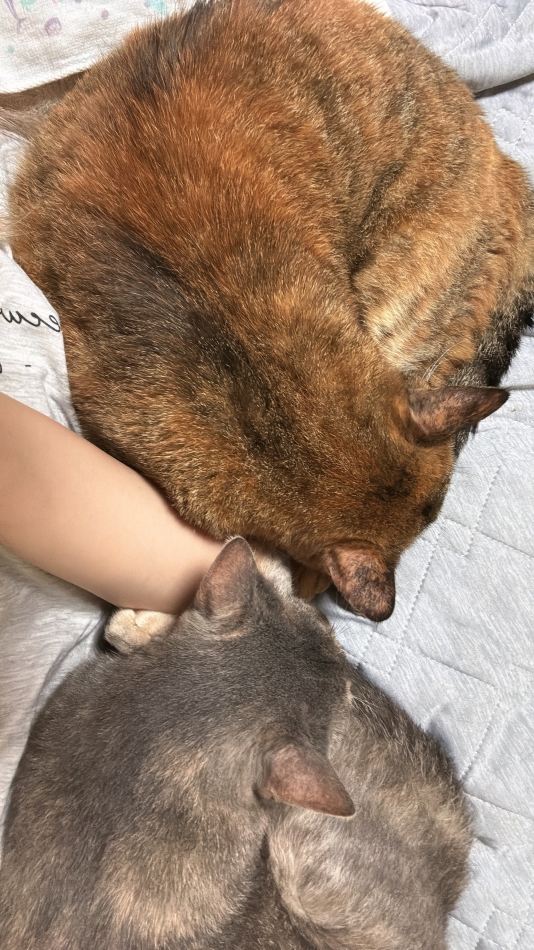 クラブ プラチナ 長野日記1444116