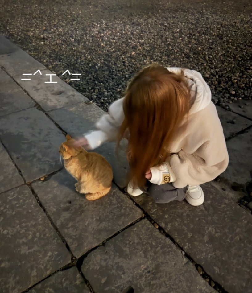 元気がもっと出たらいいな⭐️