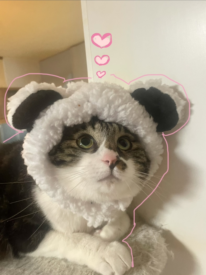 あめ～～😮‍💨☔️🌧