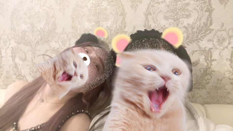 コンセプトカフェ あにまる宮殿日記1618902