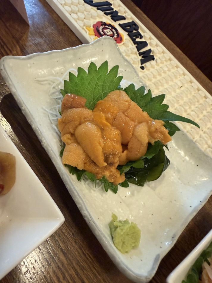一条 葵