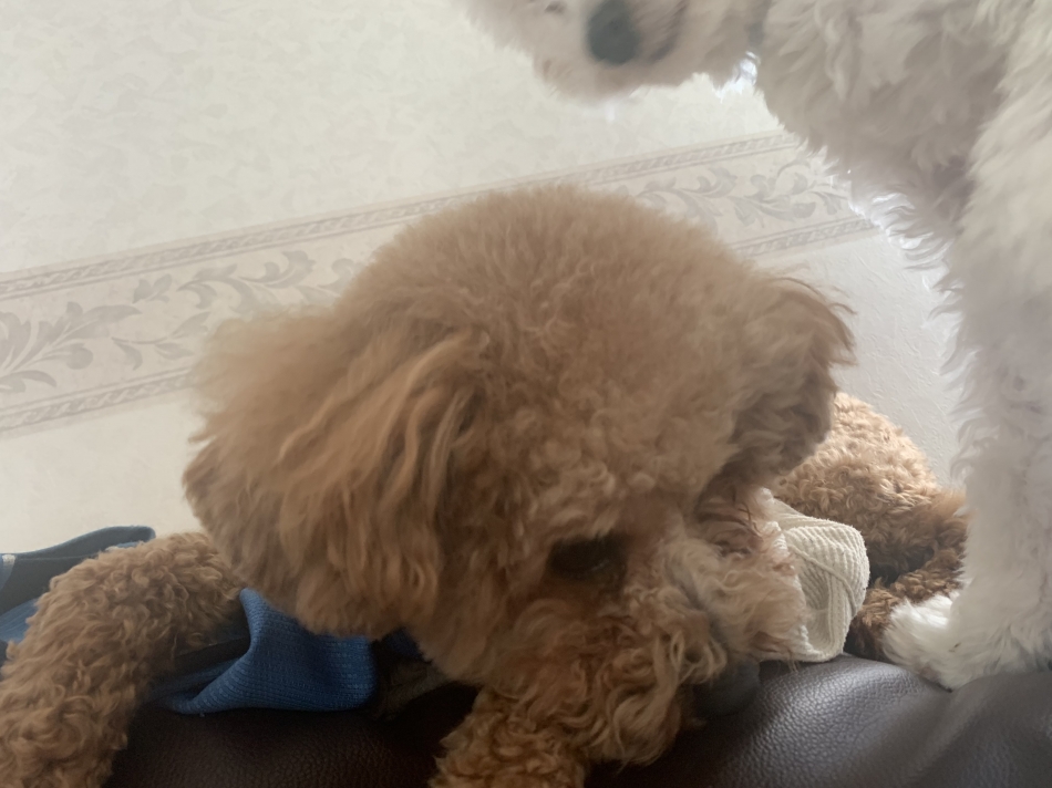 🎮🫶🏻 ̖́-‬