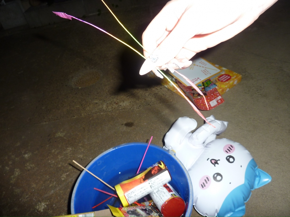 JEUNESSE日記1463162