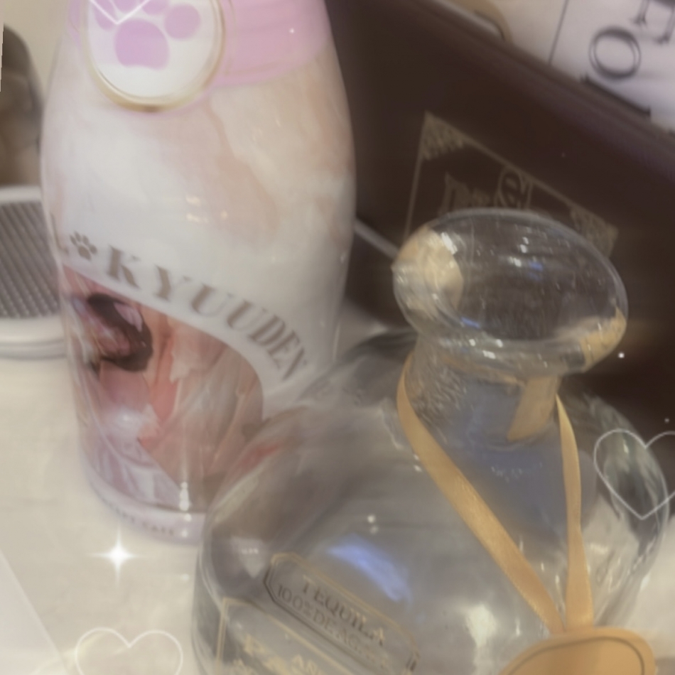 コンセプトカフェ あにまる宮殿日記1518123