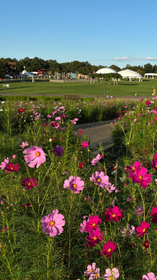 ガールズバー ビアンベニュー日記1481814